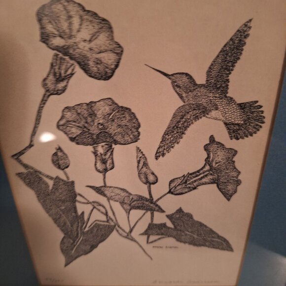 Annarae Anderson Limited Edition Hummingbird Morning Glory Art Print 99 of 500 - Picture 7 of 7